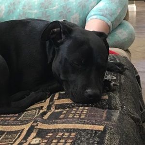 Meet your Posher, Holly